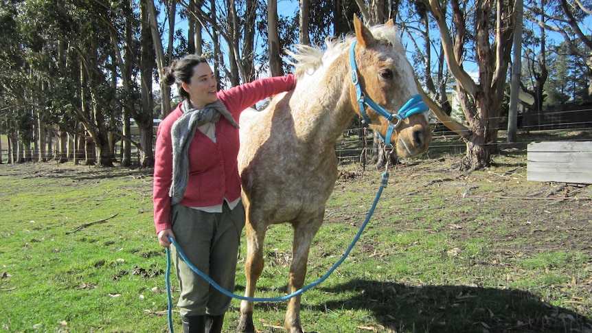 A young woman standing next to a horse