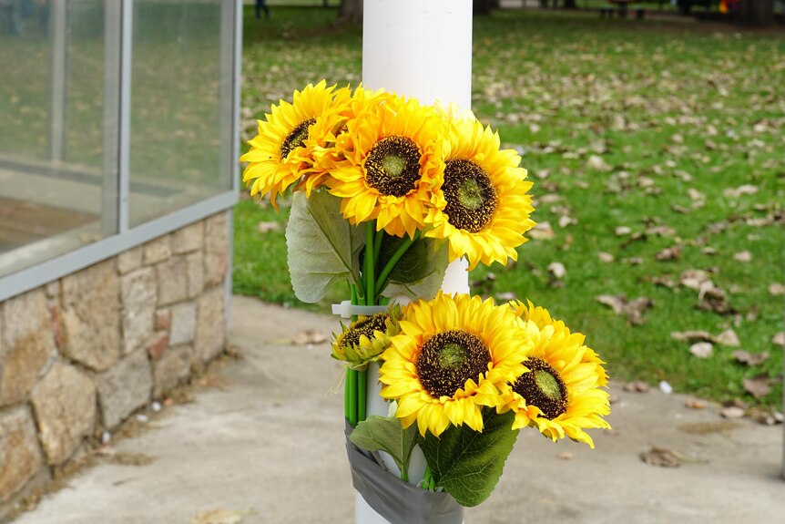 Sunflowers on a flag pole