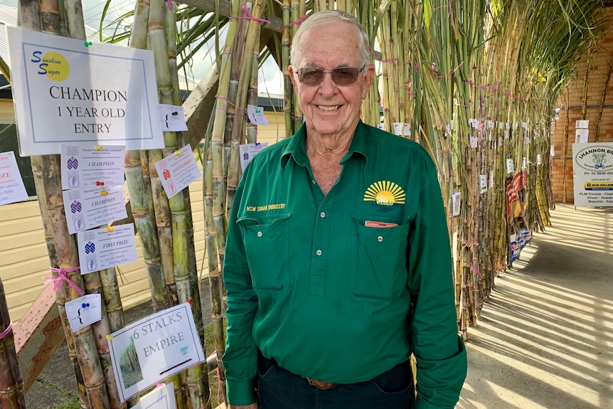 A man wearing a green shirt stands in front of sugar cane stalks in a shed.
