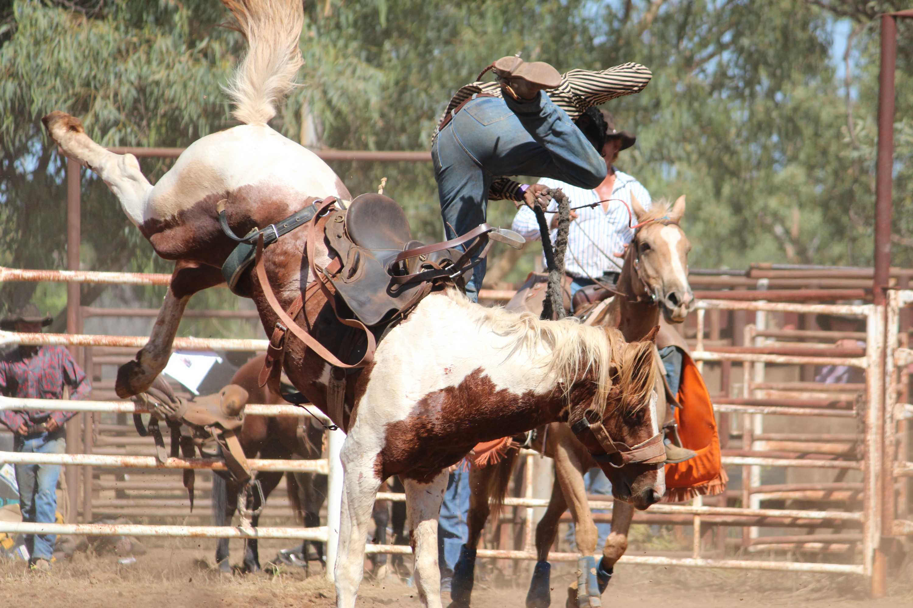 Top end cowboys battle it out at Daly Waters rodeo - ABC News