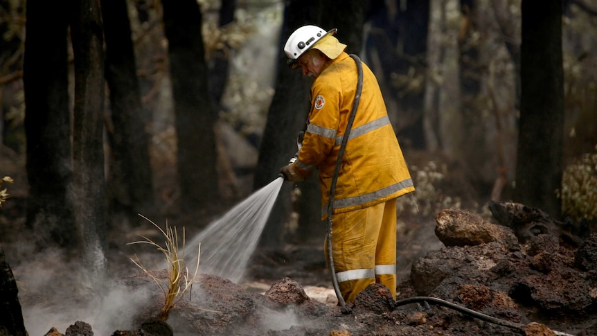 A firefighter hoses down some steaming rocks in burnt out bushland.