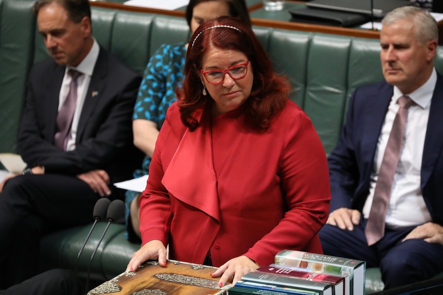 Melissa Price stands at the despatch box in the house of representatives