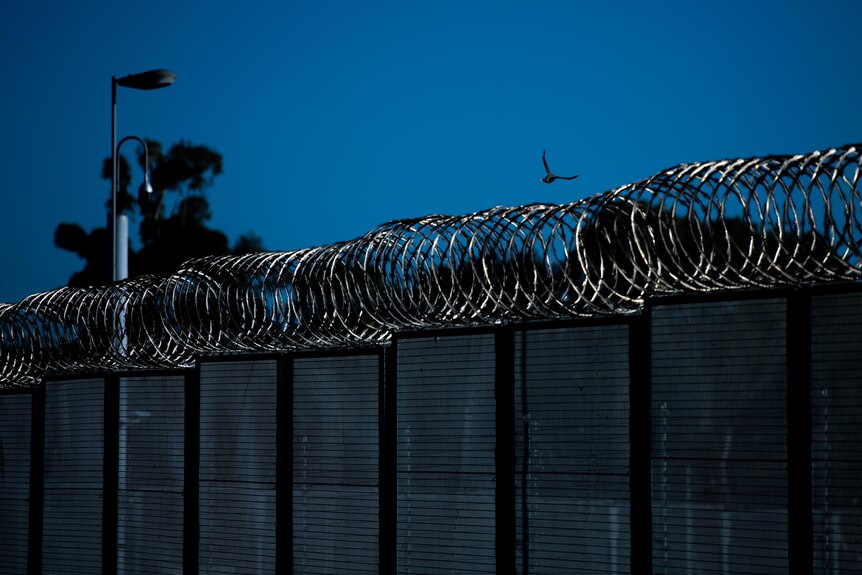 A prison fence with a dark blue sky above it and a bird flying by
