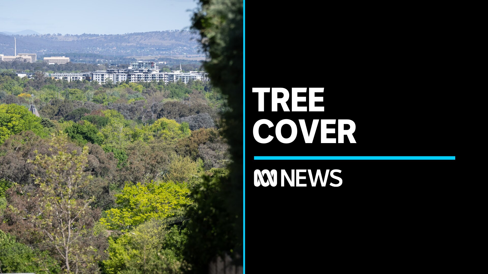 ACT commits to urban tree canopy targets after missing planting goals ...