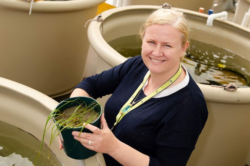 Woman stands in front of tanks as she holds a pot with seagrass