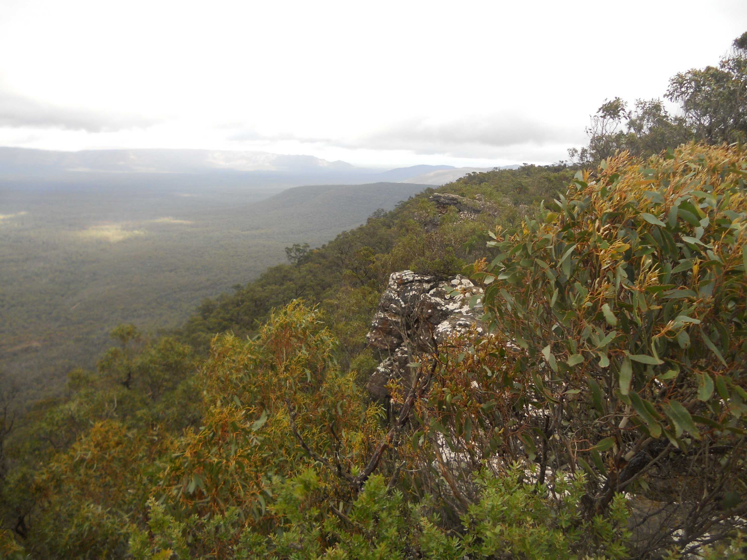 Grampians National Park and local communities slowly recovering after ...