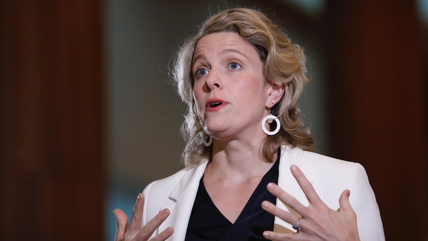 Clare O'Neil speaks at a press conference inside parliament house 