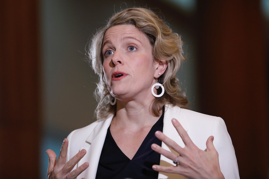 Clare O'Neil speaks at a press conference inside parliament house 