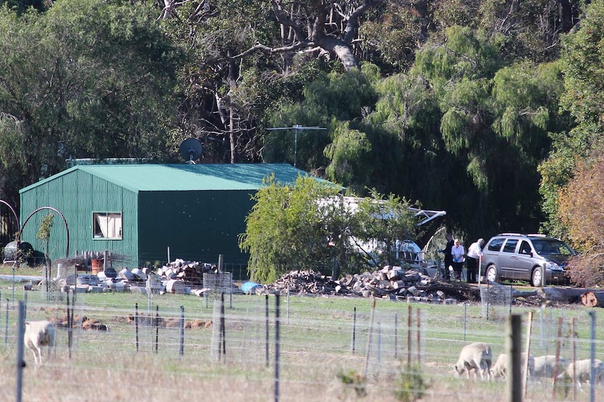 A bush property with a green metal shed and a grey van out the front.