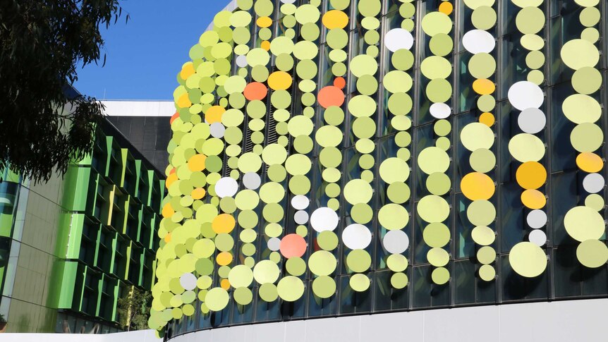 The Fizz, an artwork consisting of circular green-coloured panels that cover a wall of the Perth Children's Hospital.