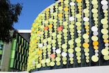 The Fizz, an artwork consisting of circular green-coloured panels that cover a wall of the Perth Children's Hospital.