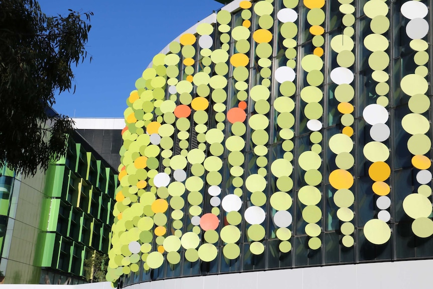 The Fizz, an artwork consisting of circular green-coloured panels that cover a wall of the Perth Children's Hospital.