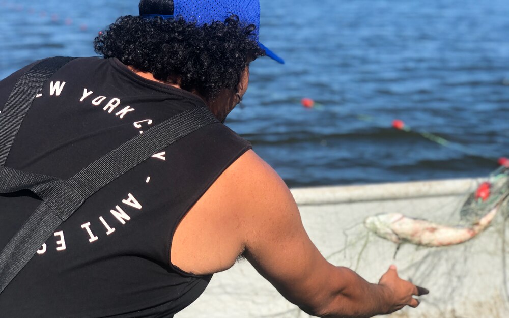 Wallaga Lake Indigenous fishermen revive net fishing tradition in