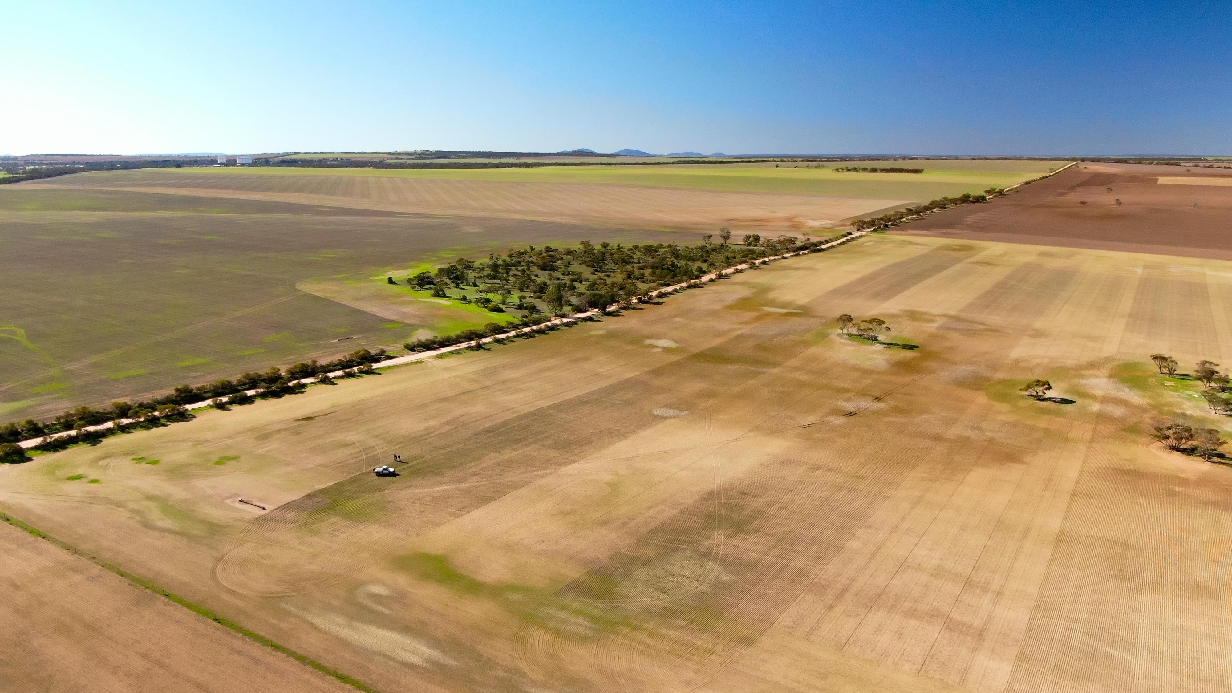 Birds eye view of paddocks