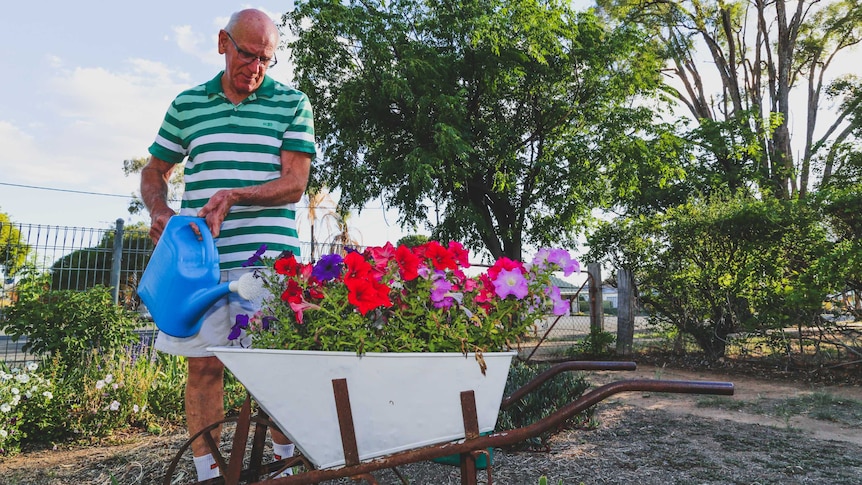 Richard Thornton is passionate gardener but has had to watch his plants suffer crippling heat waves this summer.