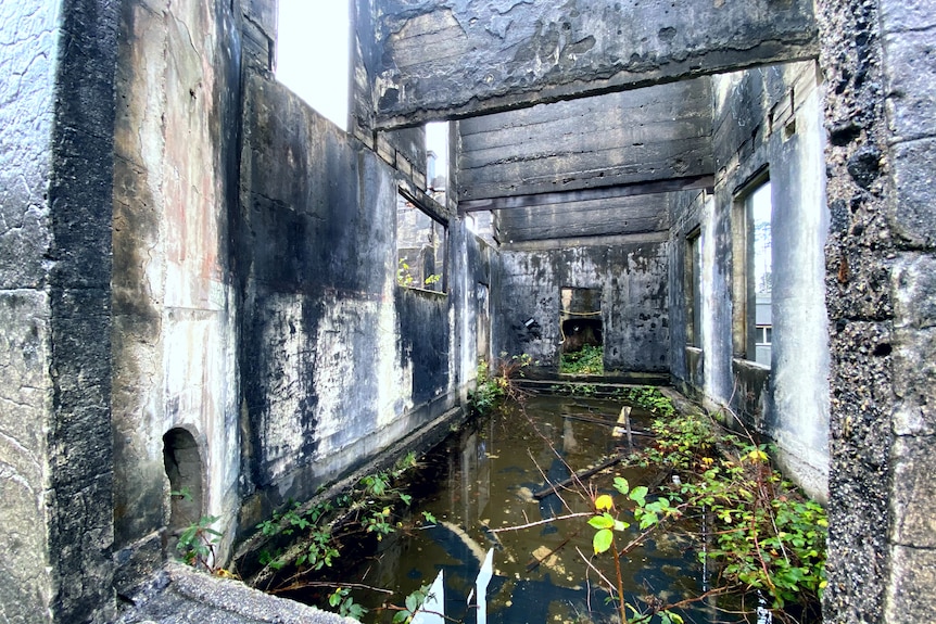 the ruins of an old hotel are full of weeds, mud and water