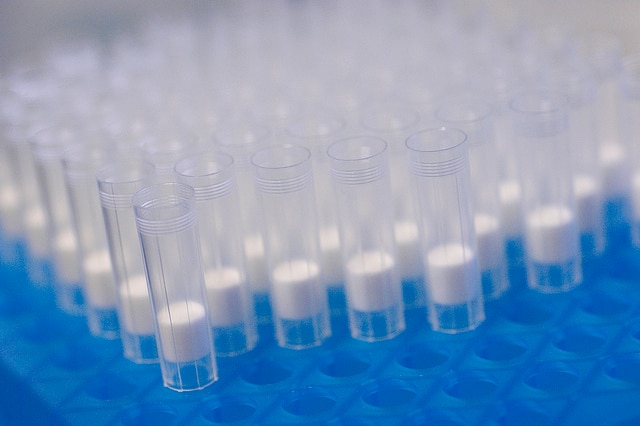 Medical vials in a tray.