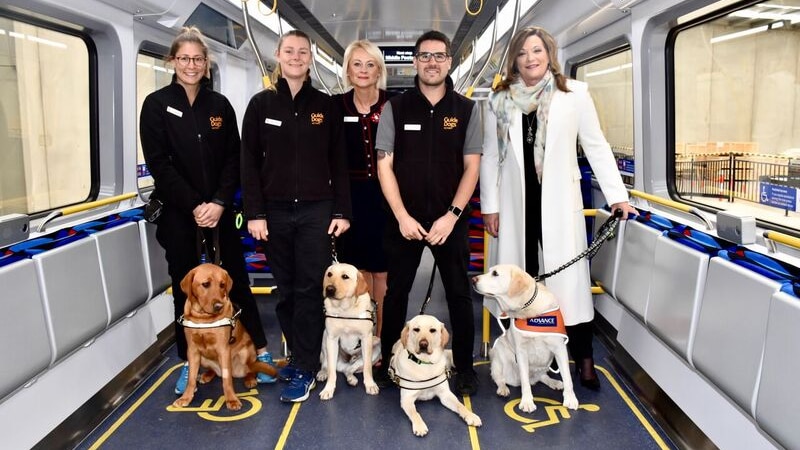 Guide Dogs Victoria CEO Karen Hayes (far right) poses for a photo with staff and guide dogs.