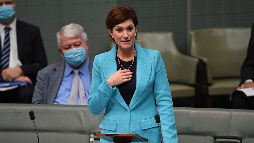 Nicolle Flint gives her valedictory speech in the house of representatives wearing a bright electric blue blazer