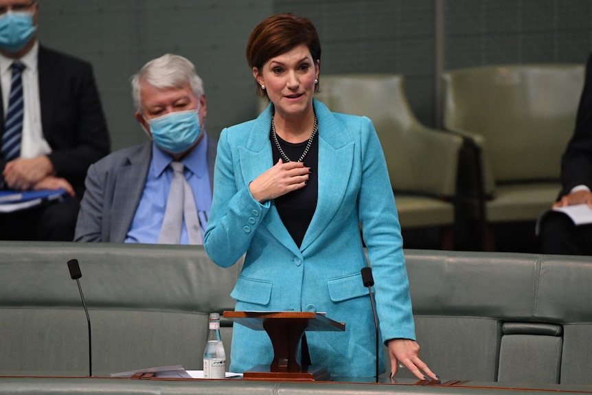 Nicolle Flint gives her valedictory speech in the house of representatives wearing a bright electric blue blazer