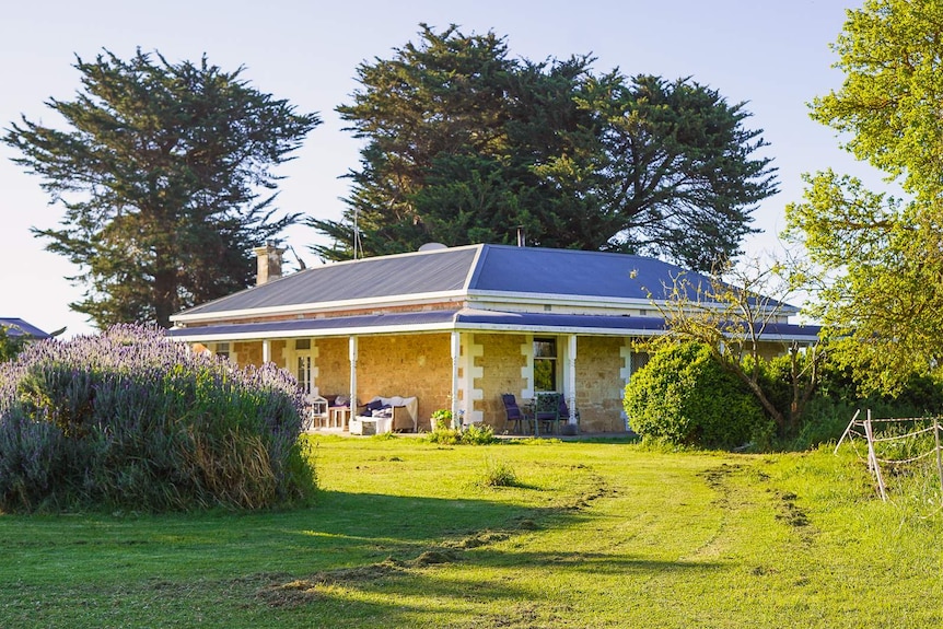 A stone house surrounded by lavender and trees in the afternoon sun.