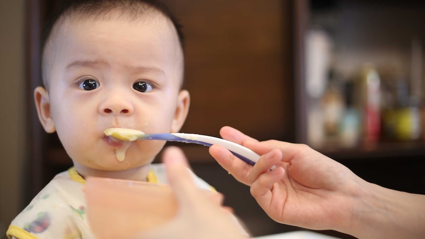 Baby being fed with a spoon, sitting at highchair