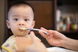 Baby being fed with a spoon, sitting at highchair