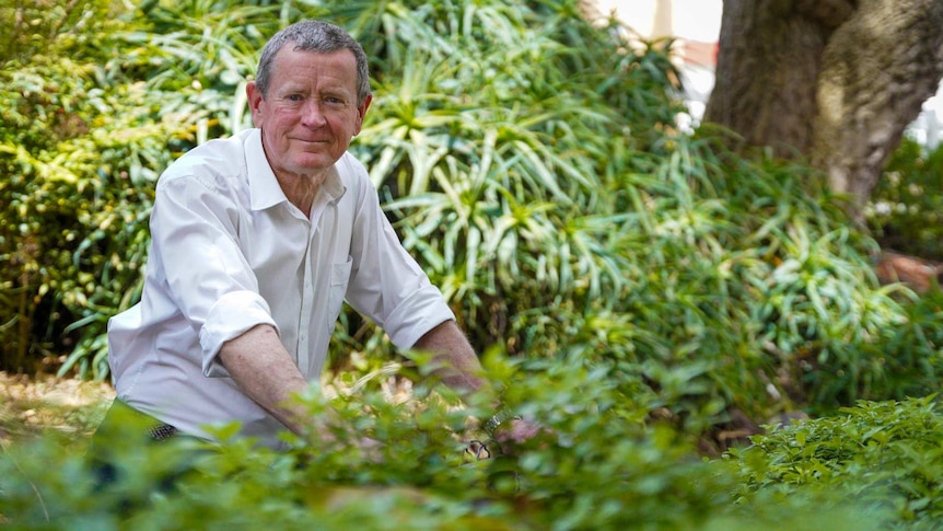 Ros Sparks standing in a garden, surrounded by lush green plants.