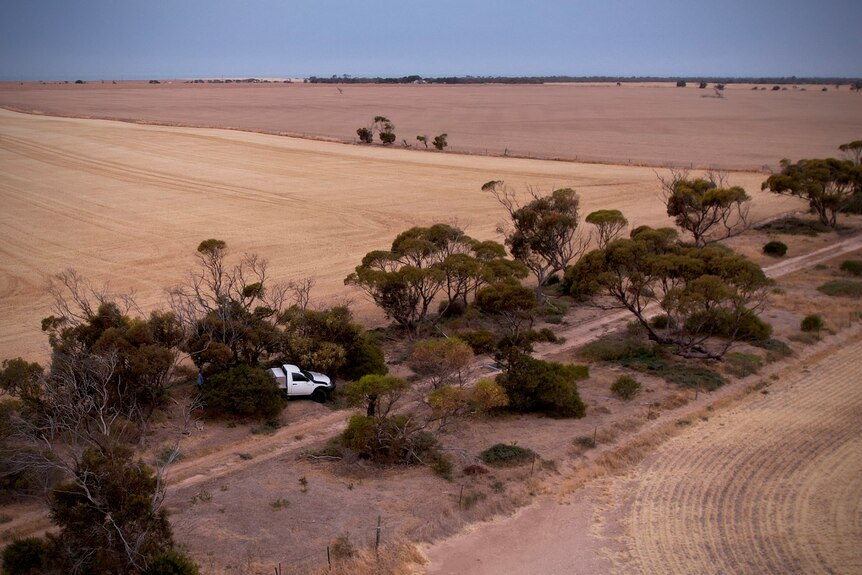 A drone shot of a bush track, with a white ute on the road.