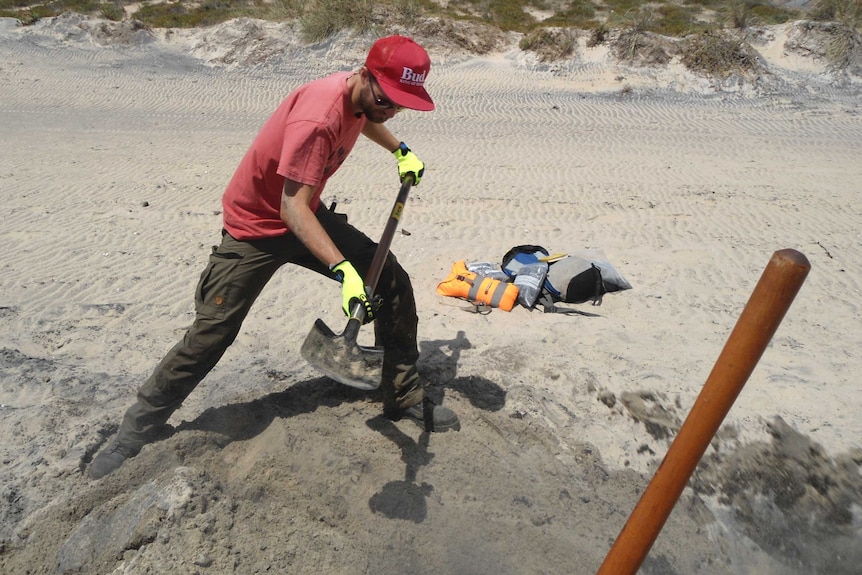 Dr Milo Barham digging for mineral samples on a south coast beach