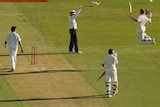 David Warner of Australia (R) celebrates after reaching 100 against India at the WACA in 2012.