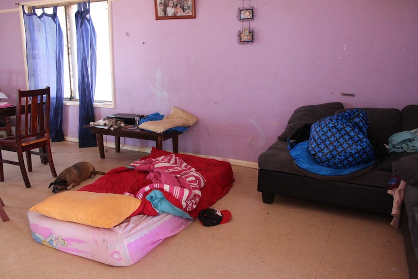 A dog and cat lay beside a mattress on the floor of a living room