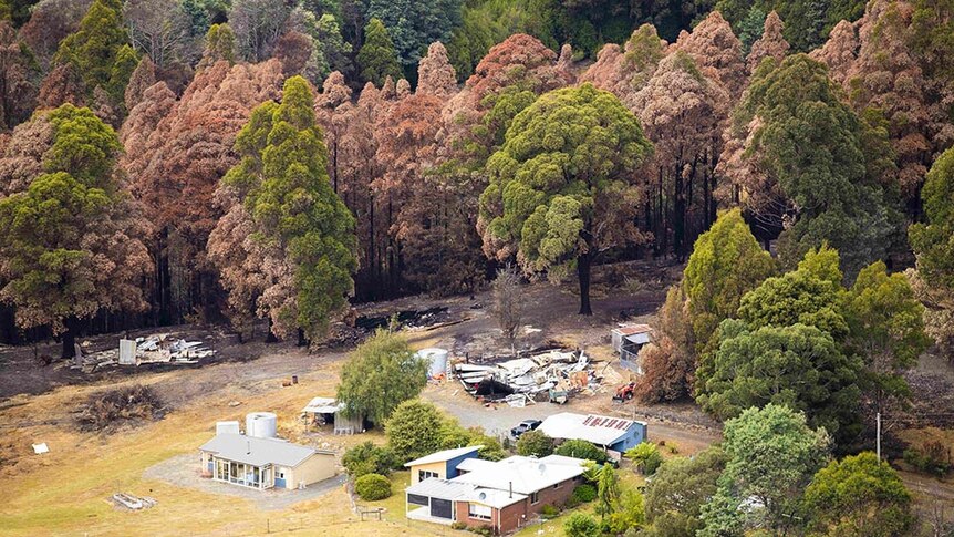 Fire came close to these houses in the Huon Valley
