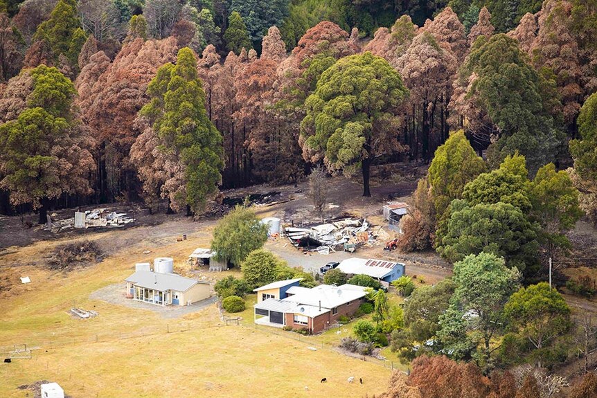 Fire came close to these houses in the Huon Valley