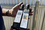 Two bottles of olive oil held in a hand.