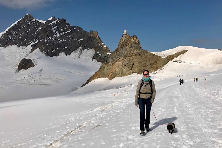 Schnitzel the sausage dog walks along with Shandos at Jungfraujoch in Switzerland