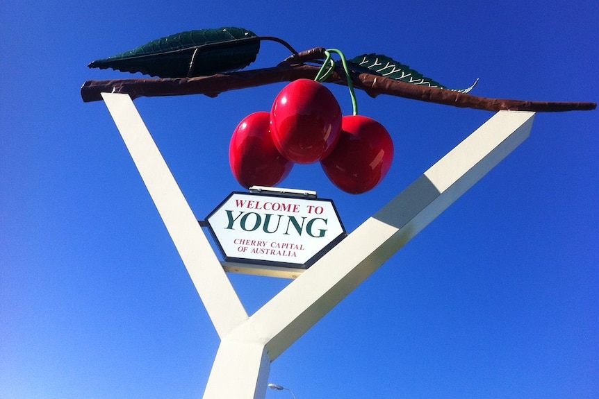 A sign saying Young Australia's Cherry Capital with a bunch of cherries