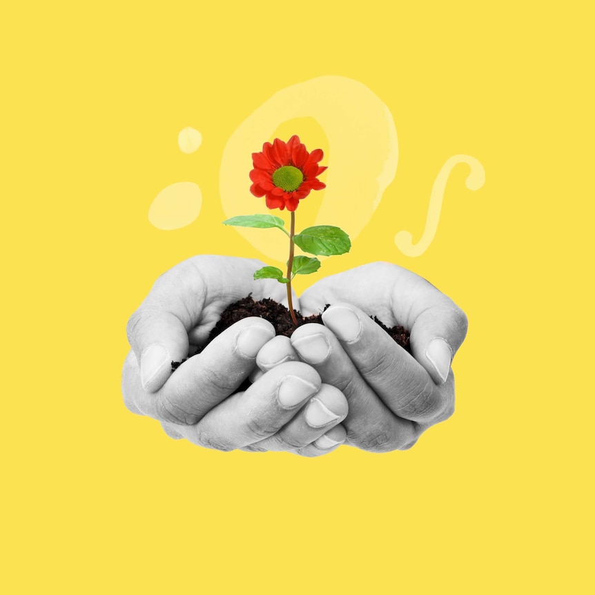 Cupped hands hold a red flower sprouting from earth. This sits over a bright yellow background.