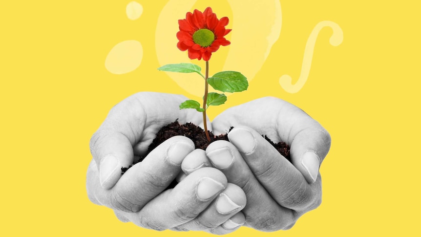 Cupped hands hold a red flower sprouting from earth. This sits over a bright yellow background.