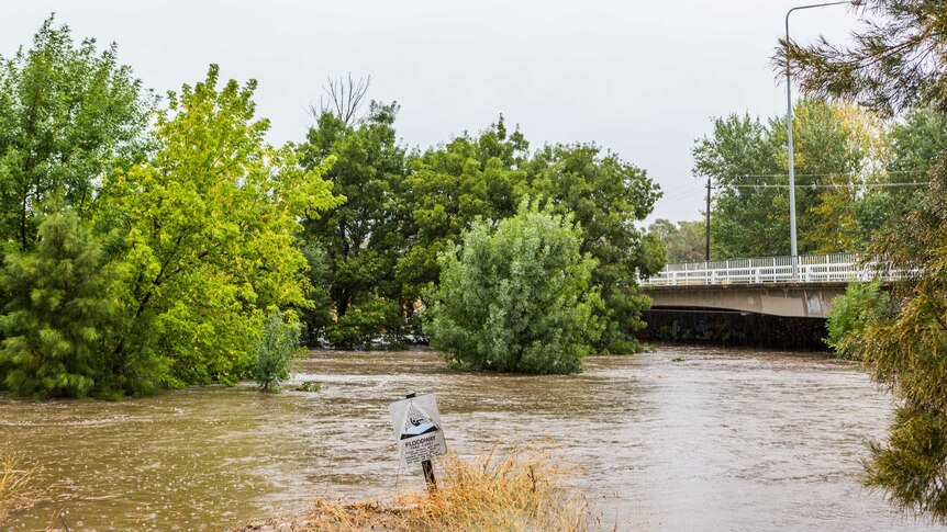 A floodway sign is almost entirely underwater as a creek breaks its banks.