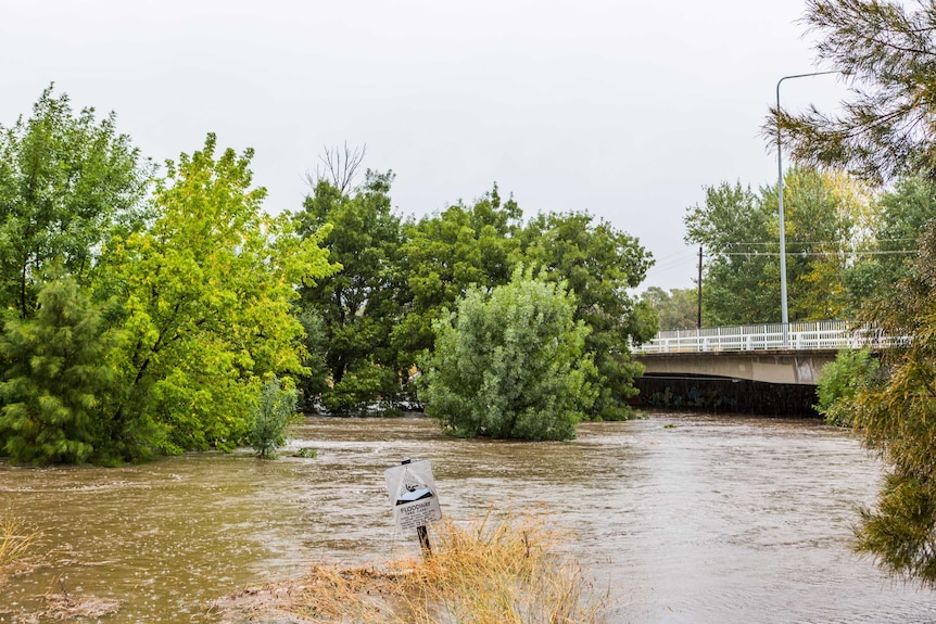 A floodway sign is almost entirely underwater as a creek breaks its banks.