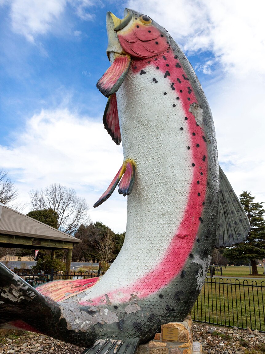 A huge big trout statue showing signs of deterioration.