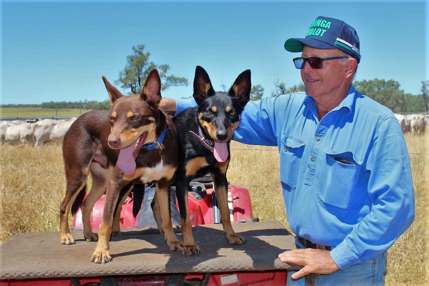 Kelpies, Lucifer and Annie standing on a quad bike, Frank smiling at them, grass and cattle behind.