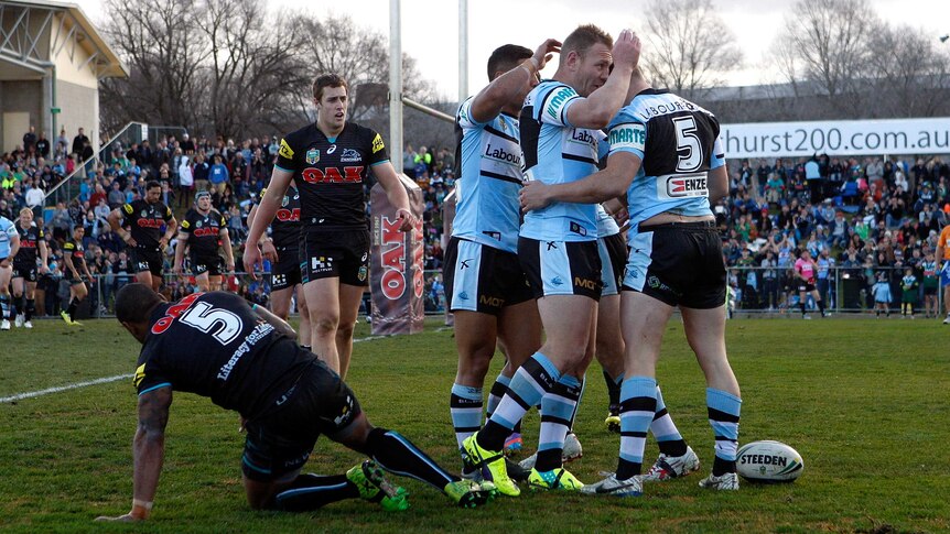 Sharks celebrate a try against the Panthers