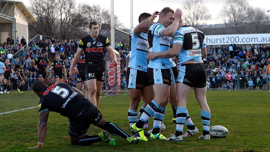 Sharks celebrate a try against the Panthers