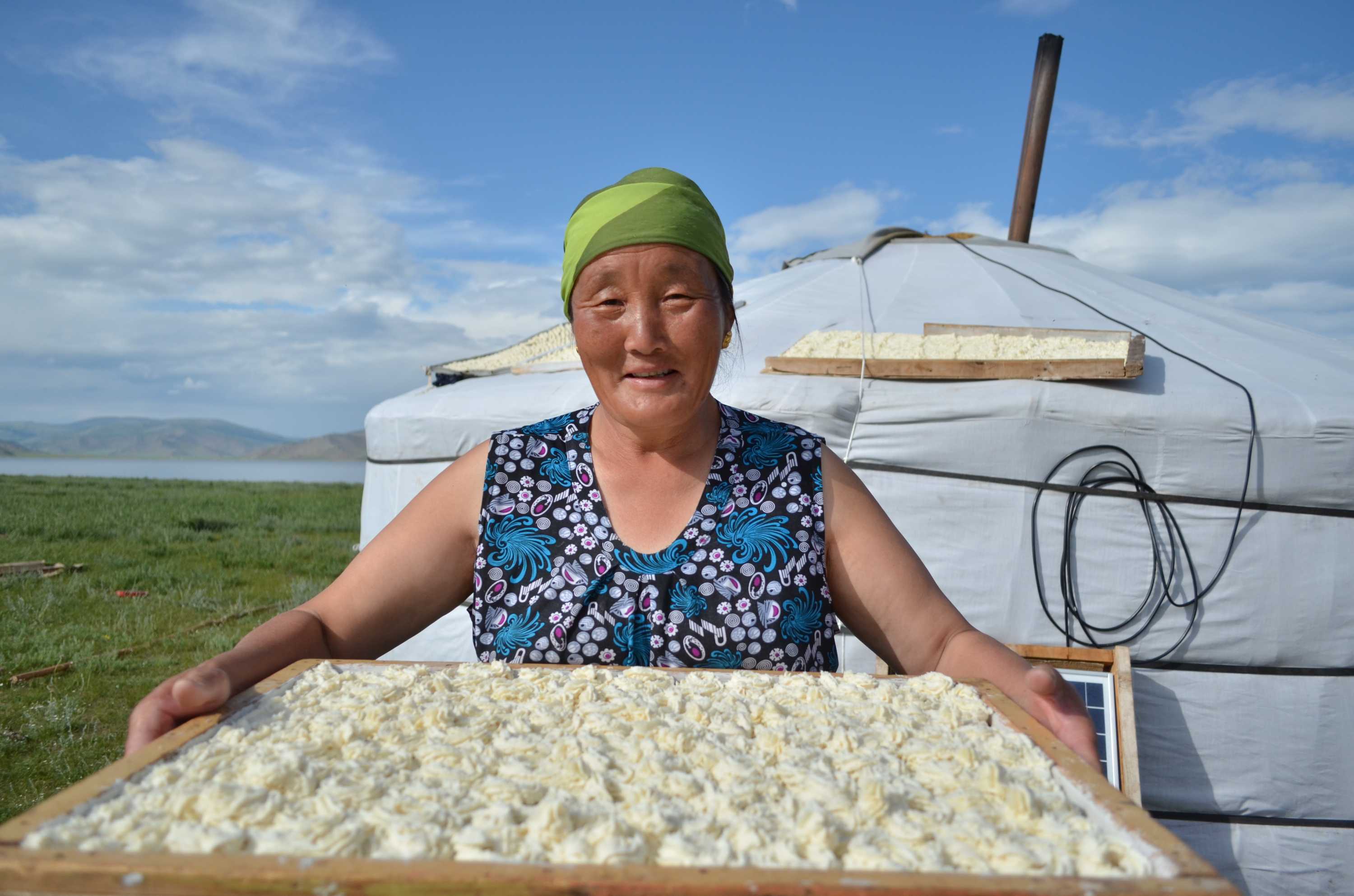 Работа в монголии. Работа в монголии вакансии. Монголия школьники. Работа учителем в монголии. Работа в монголии.