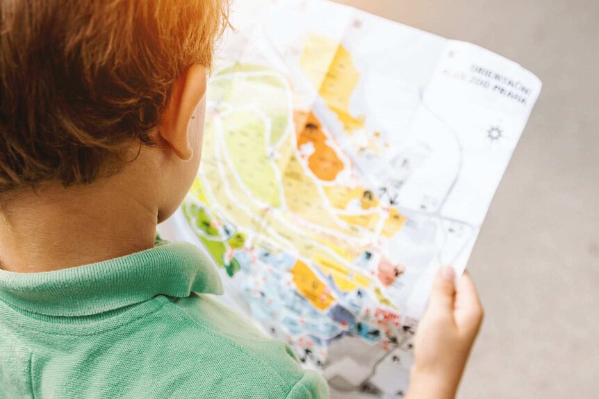A young boy in a green top reads a tourist map.