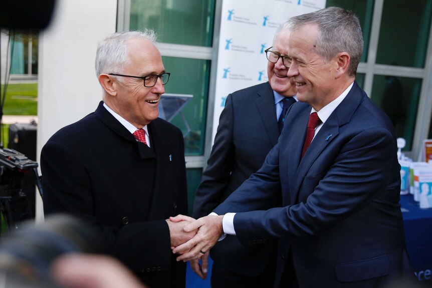 Malcolm Turnbull Bill Shorten shake hands