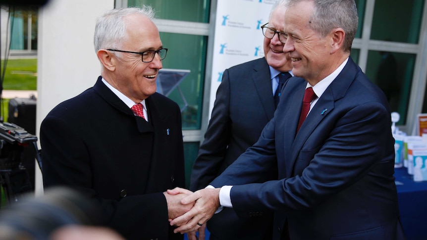Malcolm Turnbull Bill Shorten shake hands