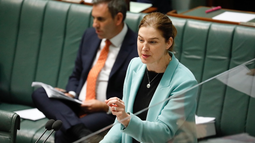 Julie Collins points while speaking in the house of representatives